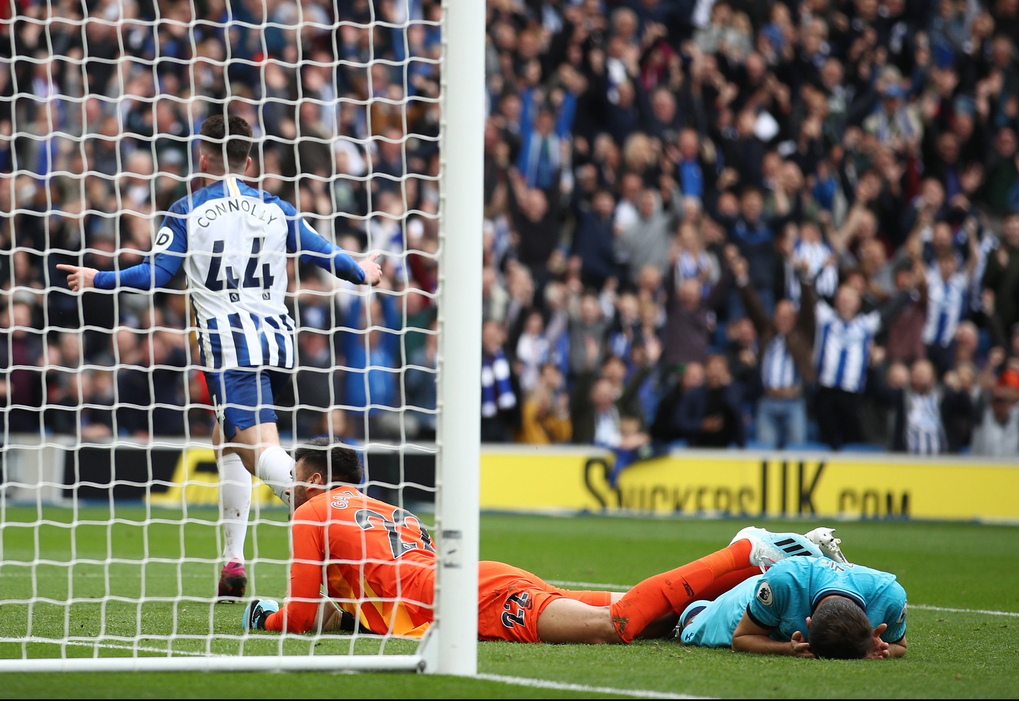 也能为众多 也能为众多