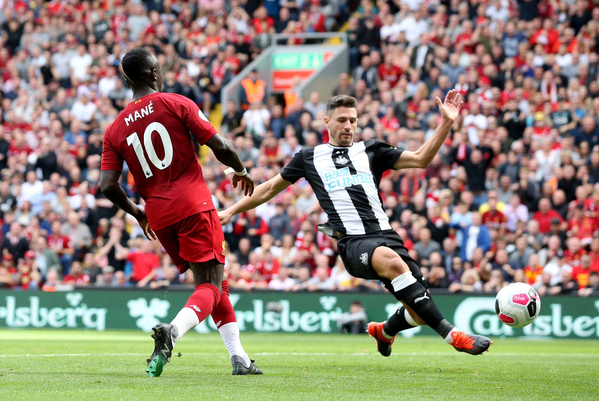 女平等的体 女平等的体